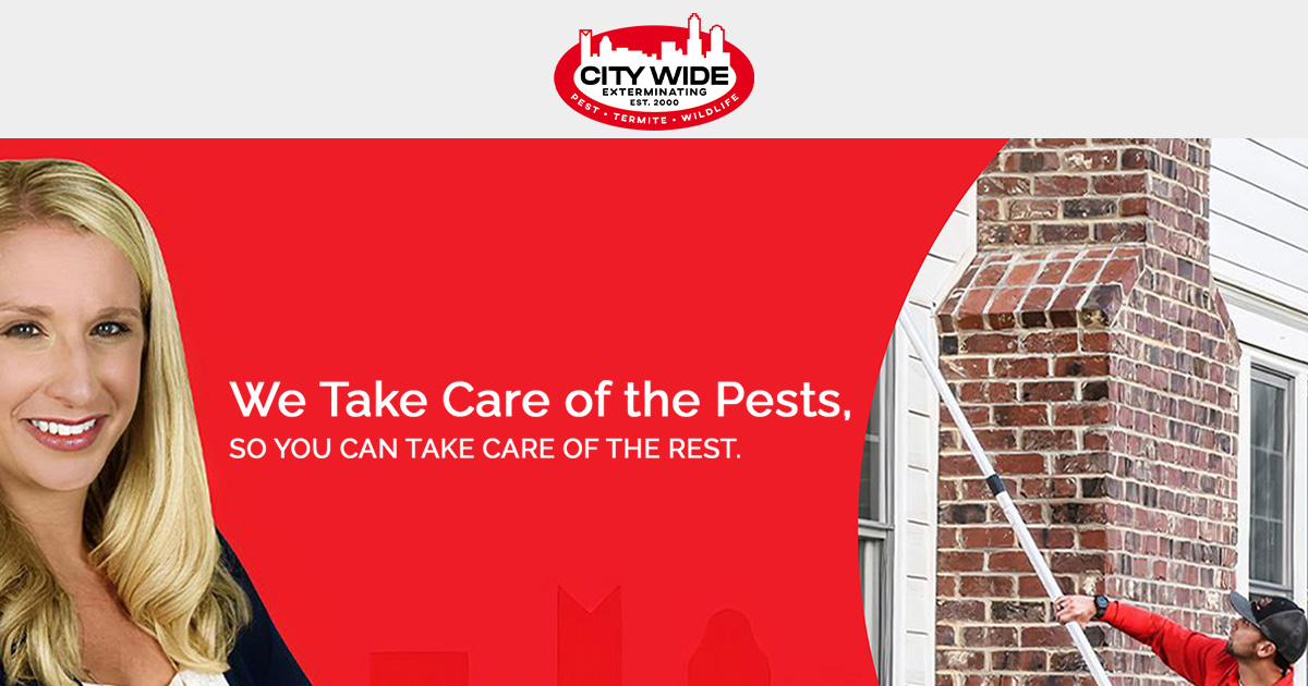 Pest Control in Charlotte, NC City Wide Exterminating, Inc.