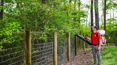 Our work & Process Photo