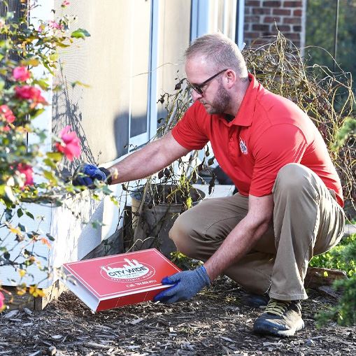 Pest Control in Charlotte, NC City Wide Exterminating, Inc.