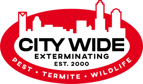 City Wide Exterminating